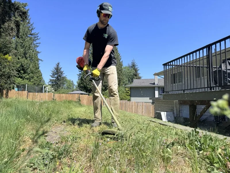 Matthew Hutchison trimming a hedge in Nanaimo
